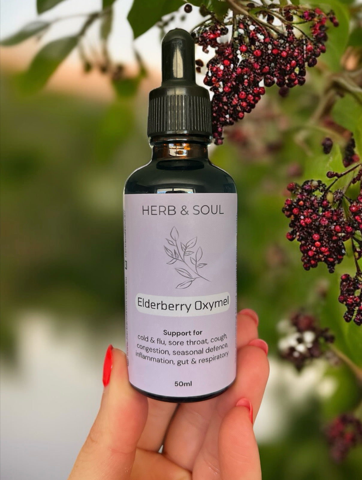 Elderberry Oxymel